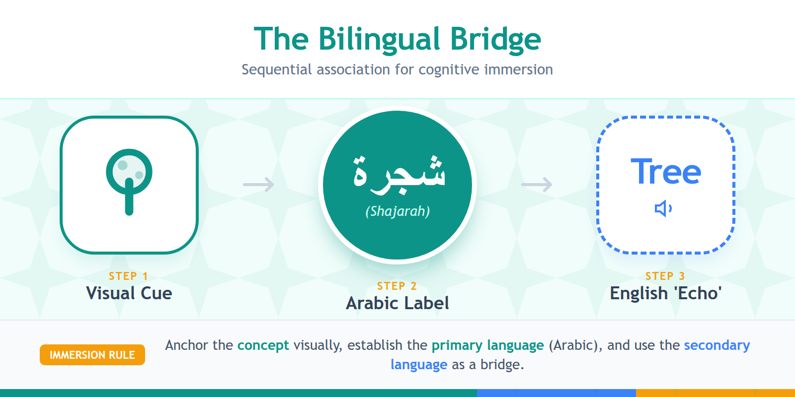 A step-by-step diagram showing how Arabic and English are paired with visual cues to facilitate bilingual immersion.