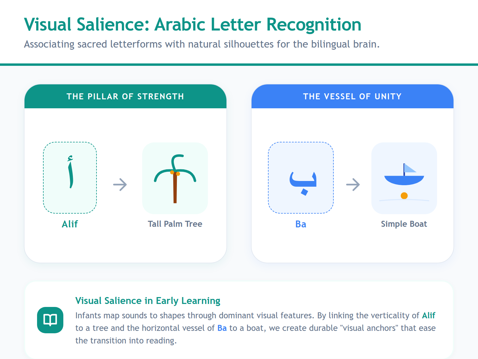 A side-by-side comparison illustrating how Arabic letters can be visually associated with natural objects.